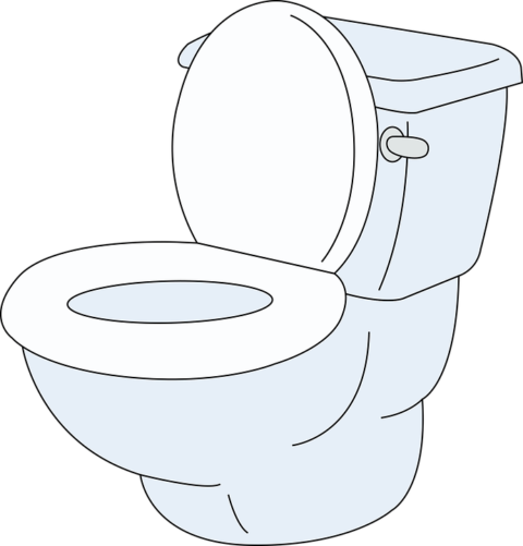 hire-a-professional-plumber-for-toilet-installation-wyman-plumbing